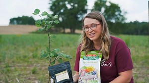 1.8K views · 28 reactions | 퐇퐨퐰 퐭퐨 퐩퐥퐚퐧퐭 퐲퐨퐮퐫 퐩퐨퐭퐭퐞퐝 퐄퐙 퐒퐭퐚퐫퐭®퐭퐫퐞퐞퐬...