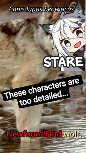 What Species are Lappland and Texas? (Arknights Biology)