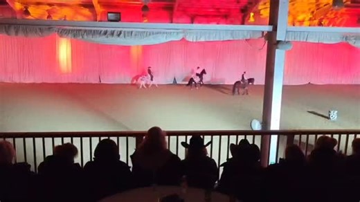 The Horse Place on Instagram: "We had such a great time at the horsemanship showcase. This year we were a small part of the evening show which was a big deal for us. All of us have had performances hovering in the past so really wanted to take care of our horses confidence in our performance. Through this it was lovely to spend a little time with Ollie Phillips, Freddie Steel, Hollie Barber and a big mention need to go to Ben Atkinson who really went out of his way to chat with us and was super 