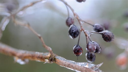 Athens forecast shows 'hazardous weather conditions' to begin Saturday