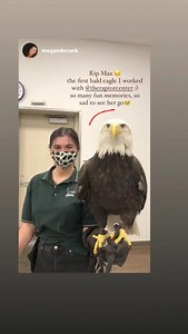 The Raptor Center on Reels | Facebook