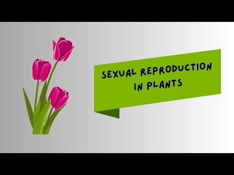 Sexual reproduction in plants|| Wahengbam Jabeen Devi