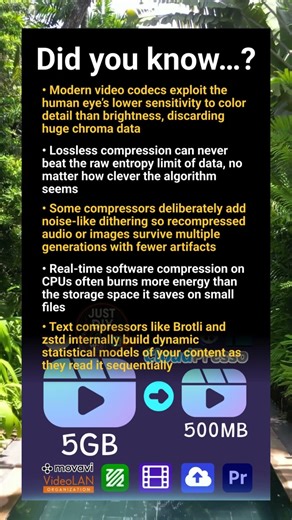 Software compression: shocking truths about codecs, latency and data perception