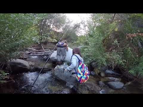 San Gabriel River West Fork finding trout, so fun, so tired