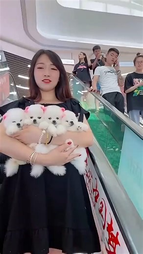 Oh my gosh, this puppy is so cute! I really want to steal it