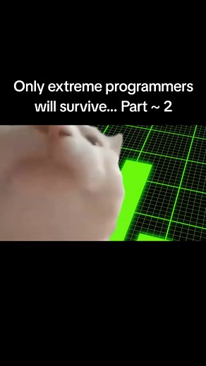 Extreme Programming: The Only Survivors in Tech Part 2