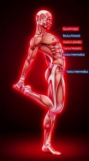 Quad Stretch Guide | Correct vs Incorrect Form for Safe & Effective Stretching #QuadStretch
