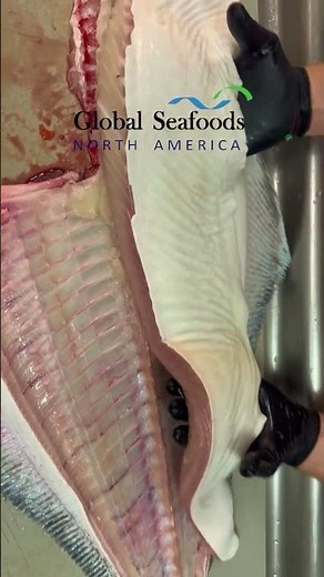 Breaking Down a Whole Pacific Halibut | Grilled Halibut Steak Recipe with Garlic Herb Marinade