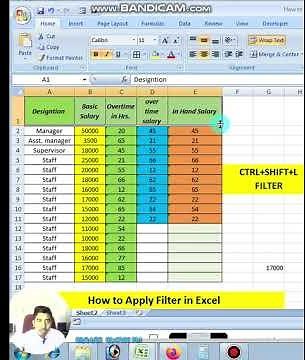 How to Apply Filter in Excel #excel