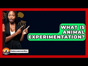 What Is Animal Experimentation? - The Documentary Reel