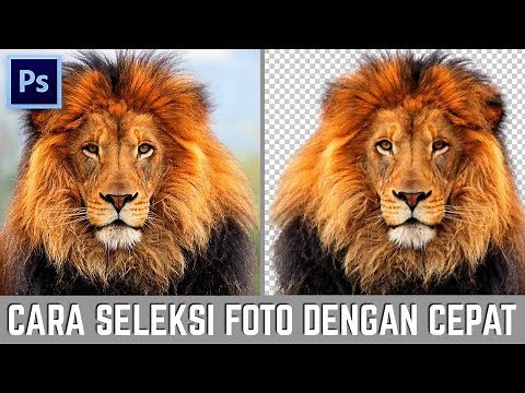Cara seleksi foto dengan cepat di photoshop