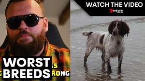 Expert dishes on the two ‘worst behaved’ dog breeds