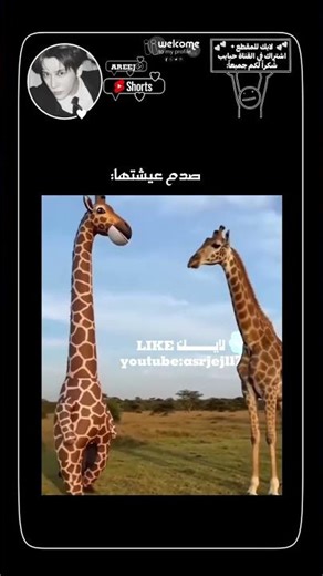 صدم عيشها للزرافة🙂.#freefire#explore#اكسبلور#رمضان#anime#فري_فاير#vlog#whatsappstatus#حالات_واتس 😭😭😭