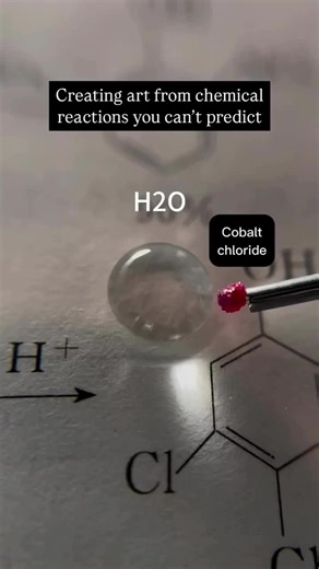 Title: Catalytic Decomposition of Hydrogen Peroxide (Elephant Toothpaste Reaction)1. Inference Upon addition of a catalyst (like potassium iodide or manganese dioxide) to a mixture of hydrogen… | Abir Chatterjee