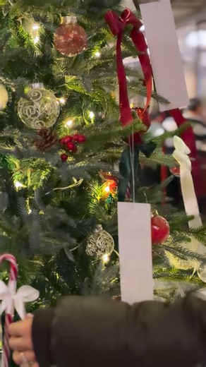 Ala Gold Gallery on Instagram‎: "الهی که هوای سرد برای هممون پر از درخشش و رنگ و حال و هوای خوب باشه ✨🎄"‎