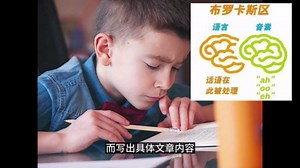 详解五种脑电波 # 知识科普 # 人工智能