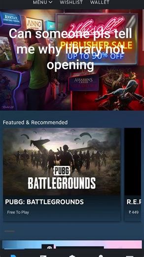 Steam library not working