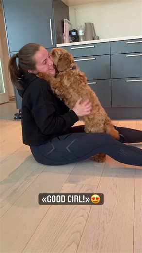 How to teach your dog «hug» 🤗🐾♥️ #cockapoo