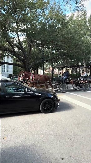 Touring historic Savannah Georgia in a horse drawn carriage￼