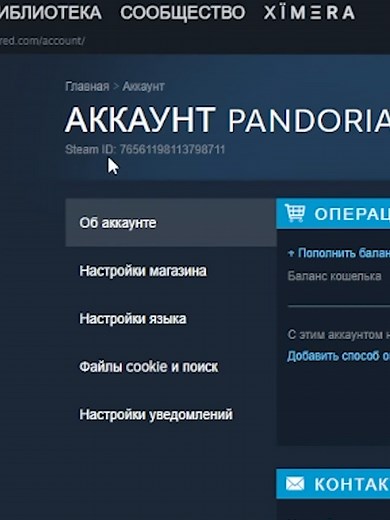 Как узнать свой SteamID - пошаговое руководство