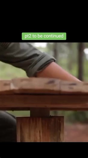 Building a Survival Shelter While Camping