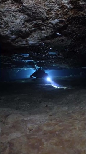 Cenotes, caves, and exploration - this is adventure at its purest
