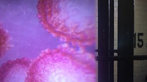 Jacksonville sheriff announces about 450 inmates now have tested positive for COVID-19