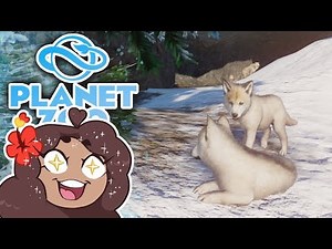 Snowy SUCCESS in Shepard's Nook!! 🐏 Planet Zoo: Ice Ice Outpost • #45