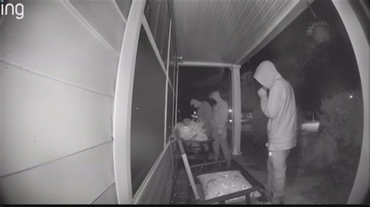 Community dealing with break-ins