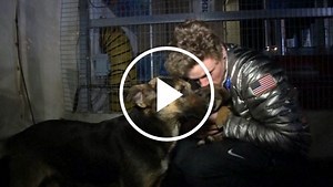 US celebrates hockey victory over Russia in Sochi preliminary game