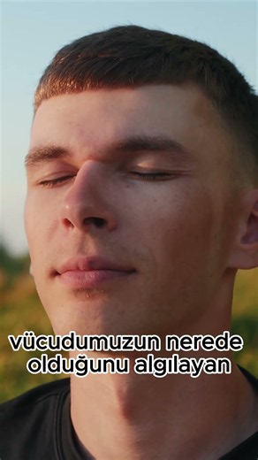 Uyurken Neden Yataktan Düşmüyoruz?