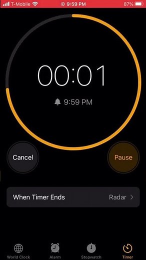 classic one second timer