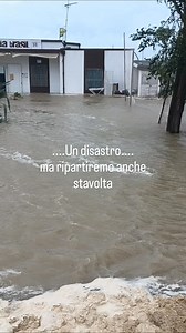 Praia Brasil on Reels