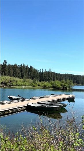 The calmness of Clear Lake #oregon #lake