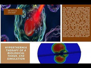 Hyperthermia Therapy of a Biological Tissue CFD Simulation