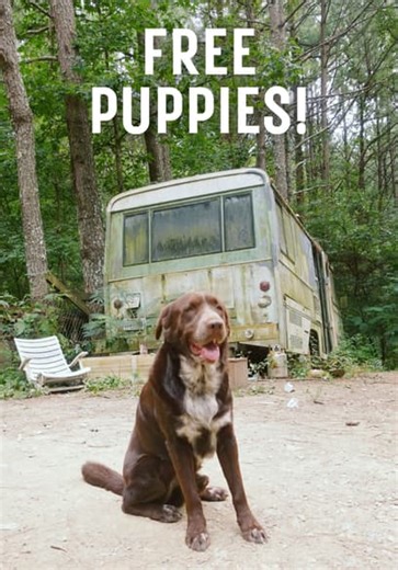 Free Puppies! (2022)