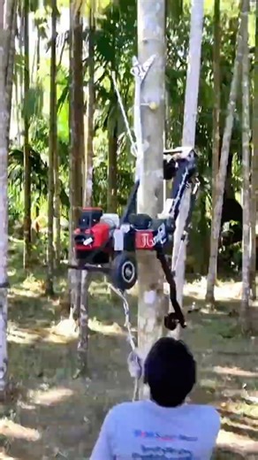 Electric Tree-Climbing Machine Harvesting Areca Nuts #farming #machines #wisdom