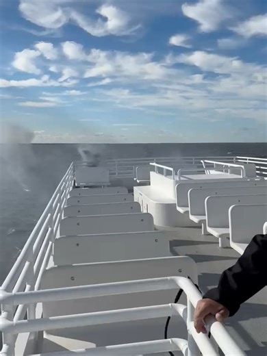 Sayville Ferry Service on Reels