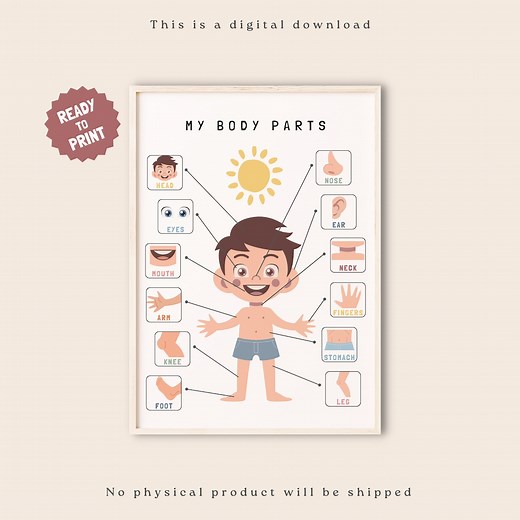 My Body Parts, Educational Poster, Printable Wall Art, Anatomy Poster, Anatomy for Kids, Preschool Classroom Decor, Body Parts Poster - Etsy