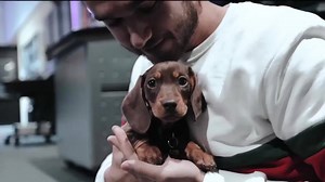 This is what happened last time Zedd was in Australia - more memories to be created in March! See Zedd live: bit.ly/UltraAus | Lucky Group