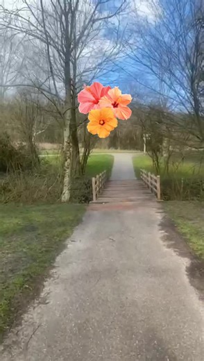 musique chleuh #tiktok #fatifrance #amazigh