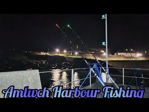 Amlwch breakwater sea fishing MULTI SPIECES HUNT