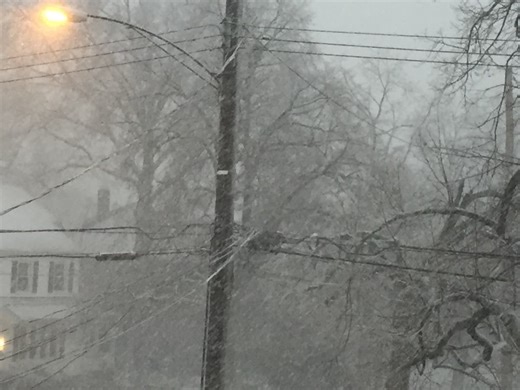 Branford Prepares For Major Winter Storm: Latest Forecast, Cancellations, How To Prepare