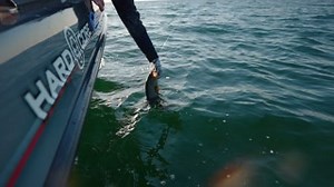 1.5K views · 37 reactions | ⭐️TIP - Korey Sprengel talks utilizing your Active Target while having boat control with Ghost Anchor Mode. #activetarget #teamlowrance #Ghosttrollingmotor The Next Bite TV | Lowrance | Facebook