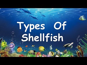 Types of Shellfish Part 2