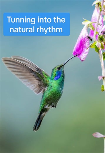 Harnessing Nighttime's Bioenergy for Daily Healing