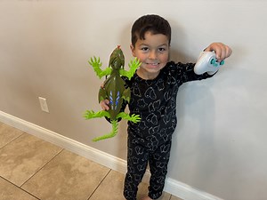 Watch WATCH before you buy remote control lizard #ad on Amazon Live