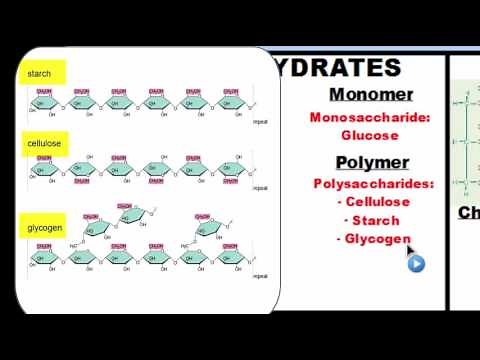 Biochemistry: Organic Compounds