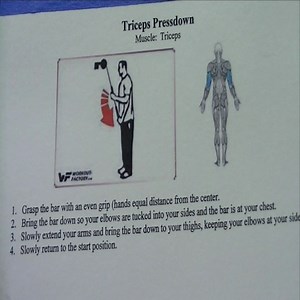 centerville-weight-training-triceps-exercises-344445