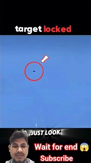 How Falcons Are Trained For The Hunt